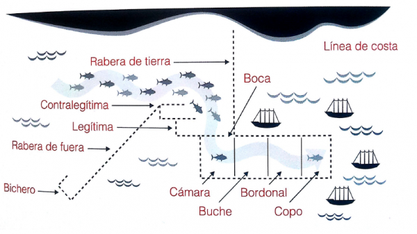 almadraba catching process