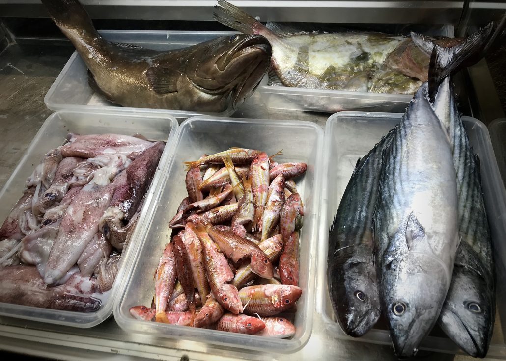 Mediterranean fish in Almeria