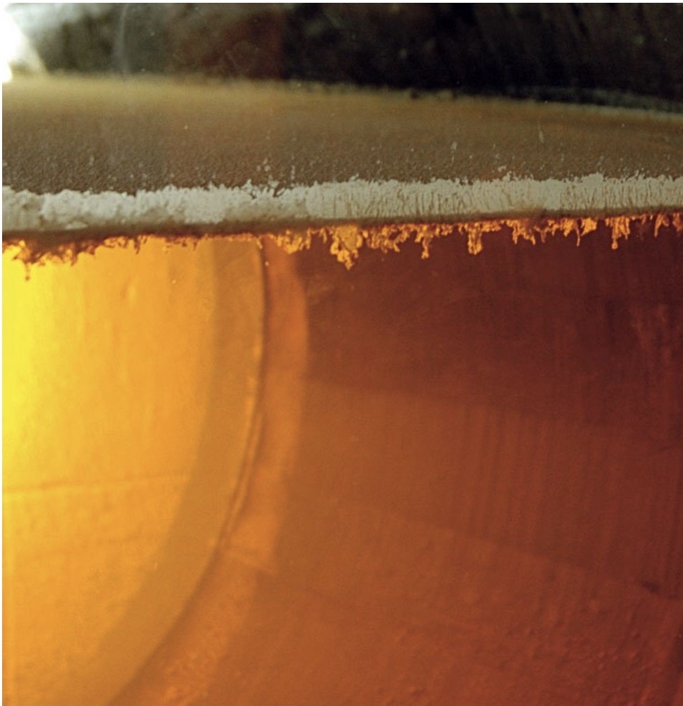 A photo of the layer of flor sitting on top of biological Sherry in Jerez with Annie B