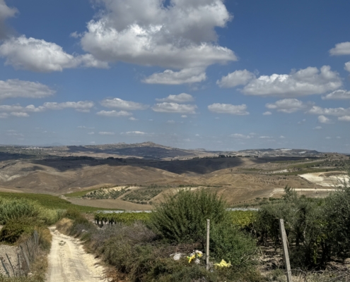 Sicilian landscape