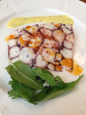 Pulpo Terrine