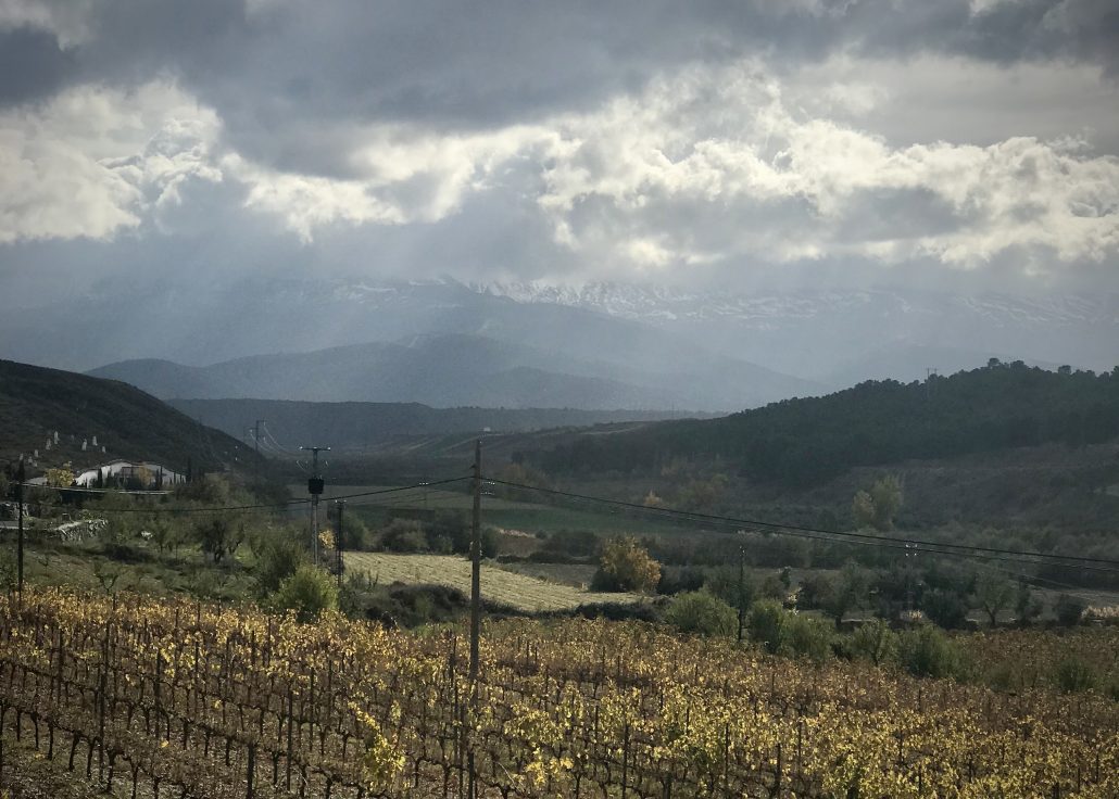 DO Granada, Vines, Sierra Nevada