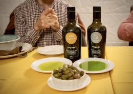 Extra Virgin Olive Oil from Melgarejo