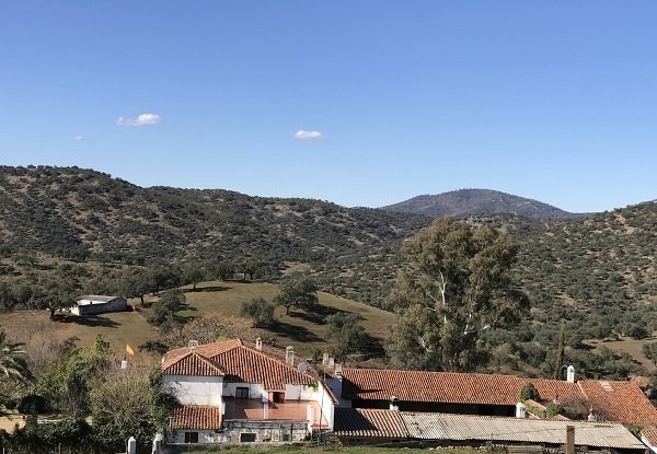 iberico farmland